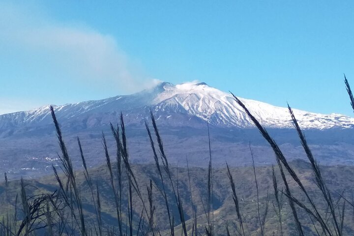 2023 Etna sweet Day provided by Marcello Puglisi - Reserve Now