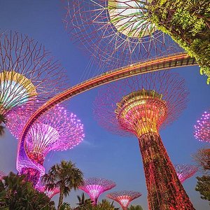 Marina Bay Sands Sky Park  Tourist attractions in Singapore