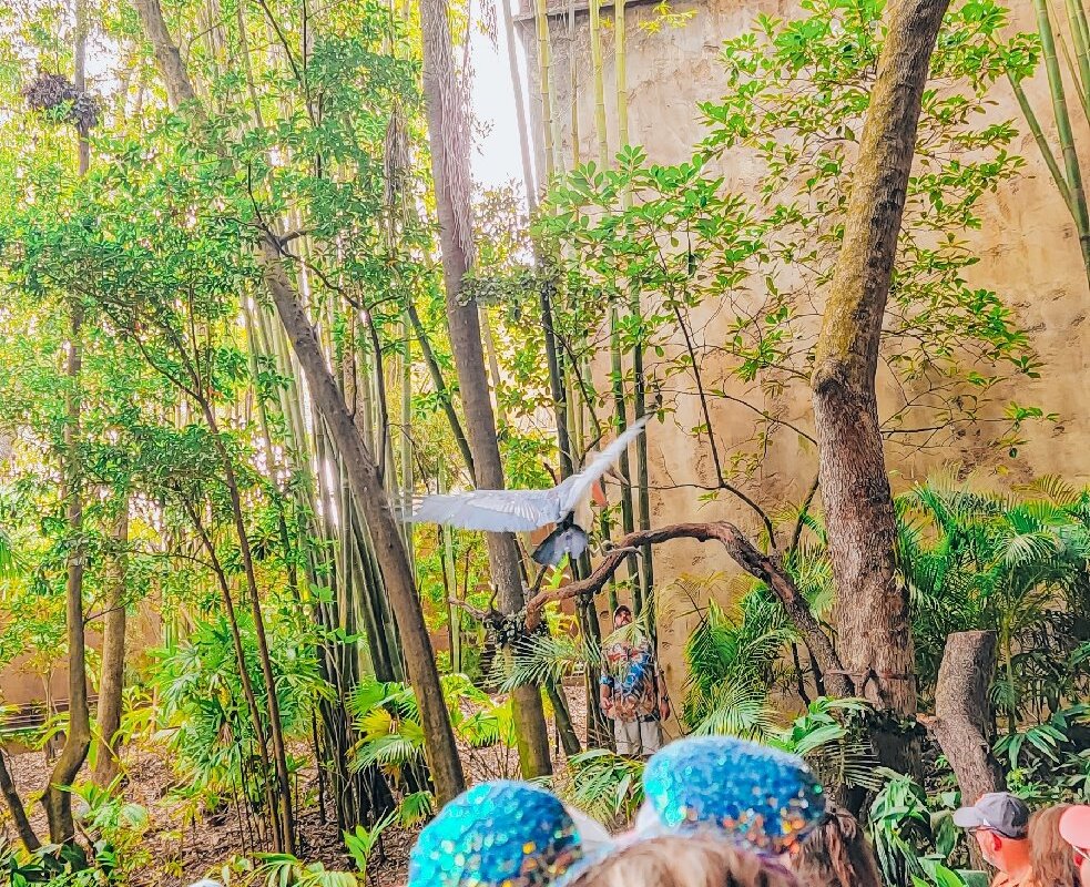 THE 15 BEST Orlando Theme Parks (2025) Tripadvisor