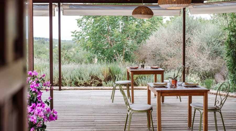 Mimi's Terrace