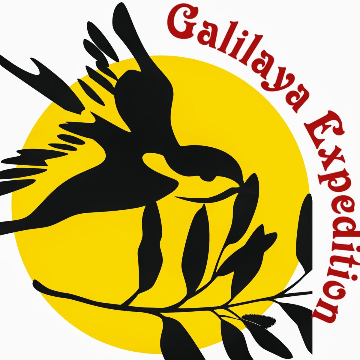 Galilaya Expedition - All You Need to Know BEFORE You Go (2024)