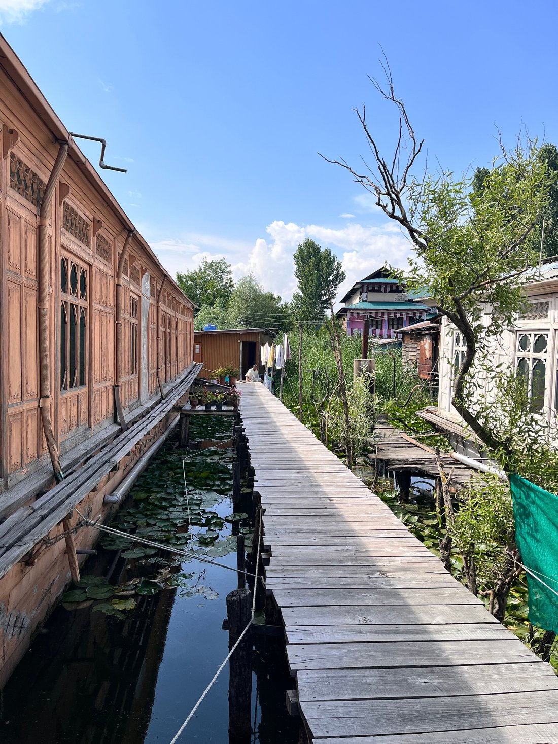 PANZEY HOUSEBOAT - Specialty Inn Reviews (Srinagar, Kashmir)