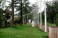 Capivaras passeando pelo Parque do Carmo, zona leste de São Paulo