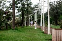 Capivaras passeando pelo Parque do Carmo, zona leste de São Paulo