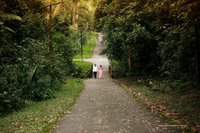 Capivaras passeando pelo Parque do Carmo, zona leste de São Paulo