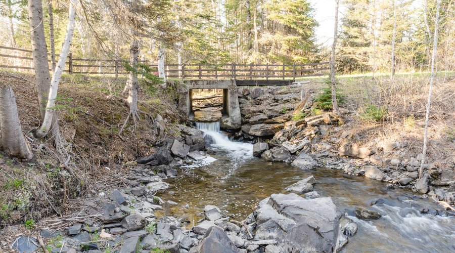 Walking trail and stream