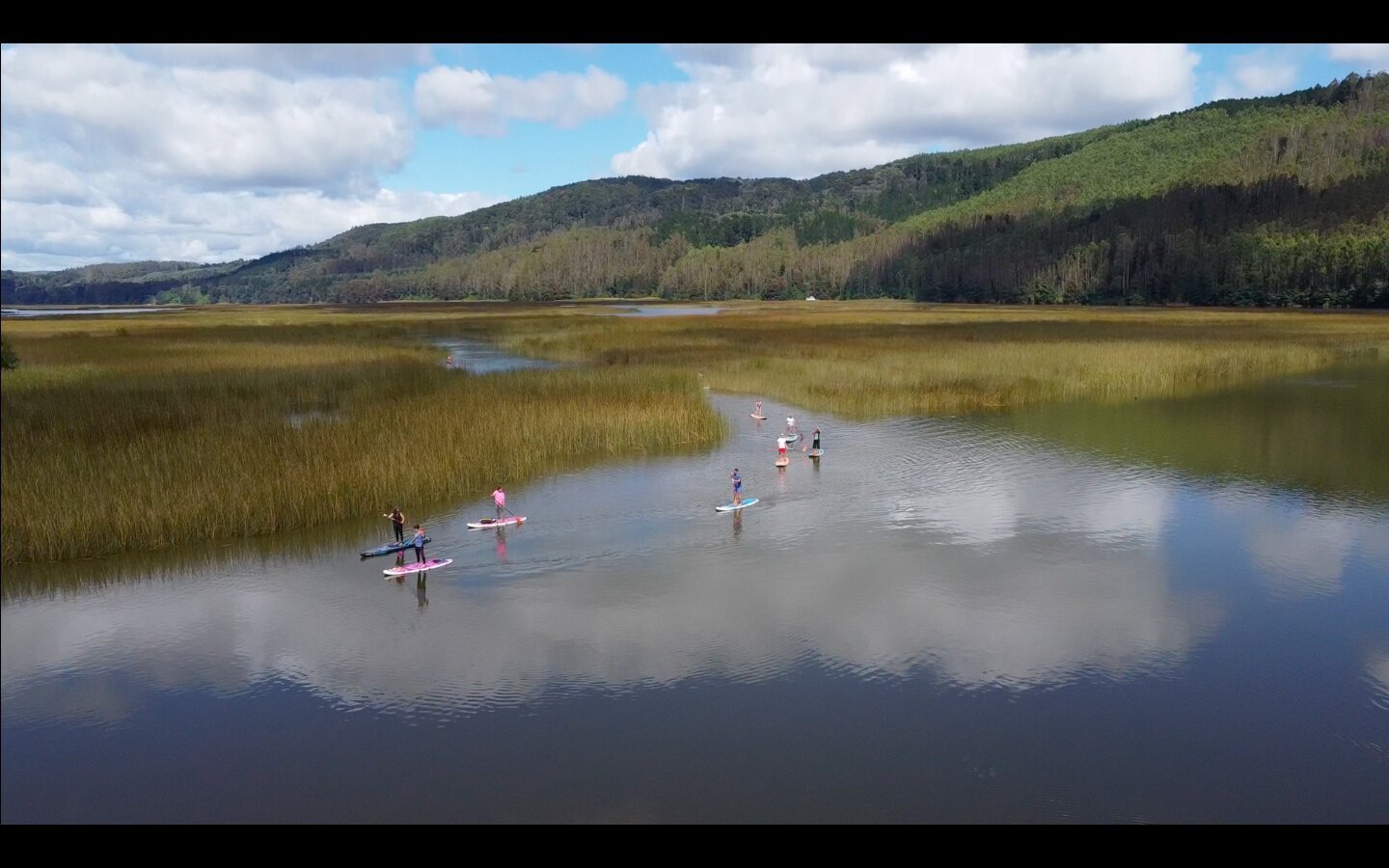 SUP Valdivia Travesías (2025) - All You Need to Know BEFORE You Go (w/ Reviews)