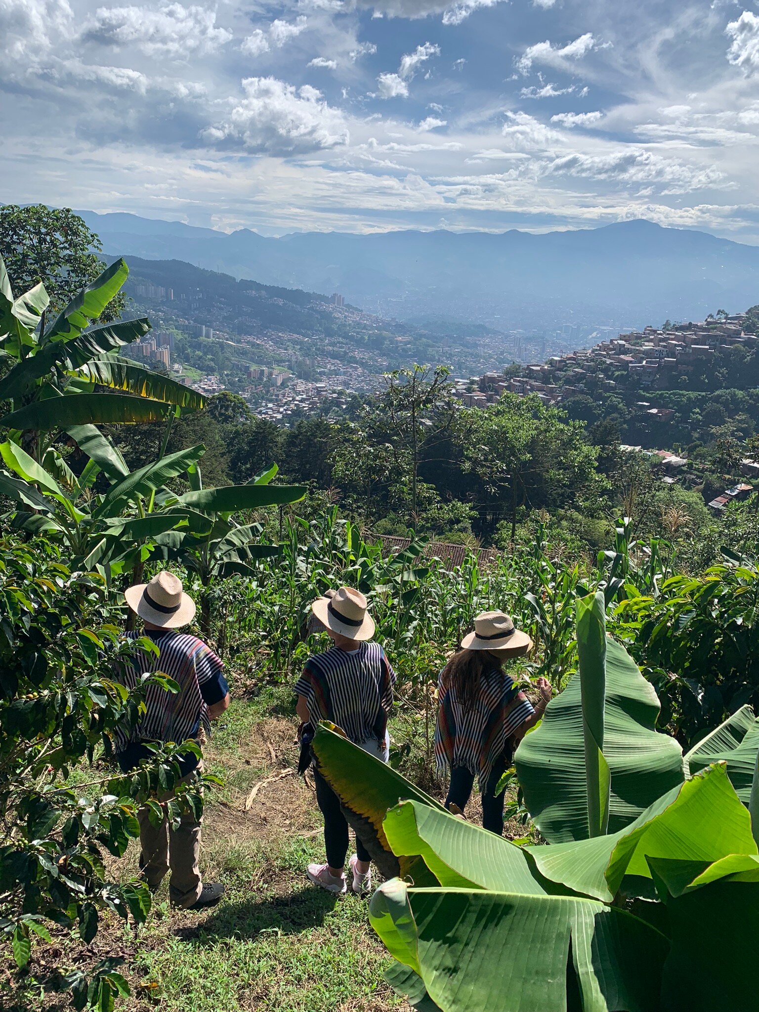 LA CASA GRANDE COFFEE HACIENDA - B&B Reviews (Medellin, Colombia)