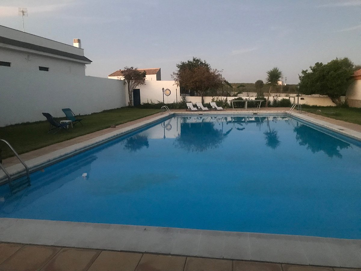 B&B Finca El Juncal Pool: Pictures & Reviews - Tripadvisor