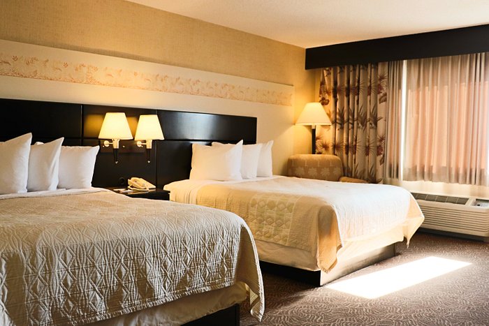 Hotel Rooms & Suites  Treasure Island Resort & Casino