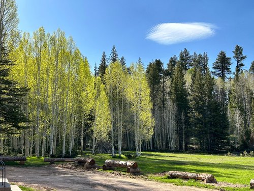 KAIBAB LODGE - Updated 2023 Reviews (Jacob Lake, AZ)