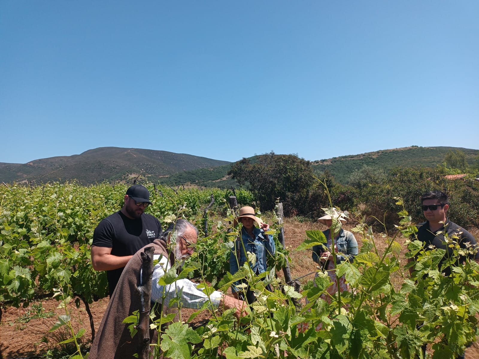 Wine route deals