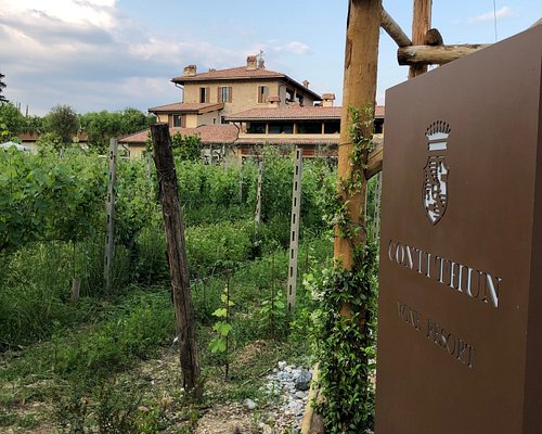 Premium Wine Tour  Degustazione vini Lago di Garda e visita alla cantina –  CONTI THUN