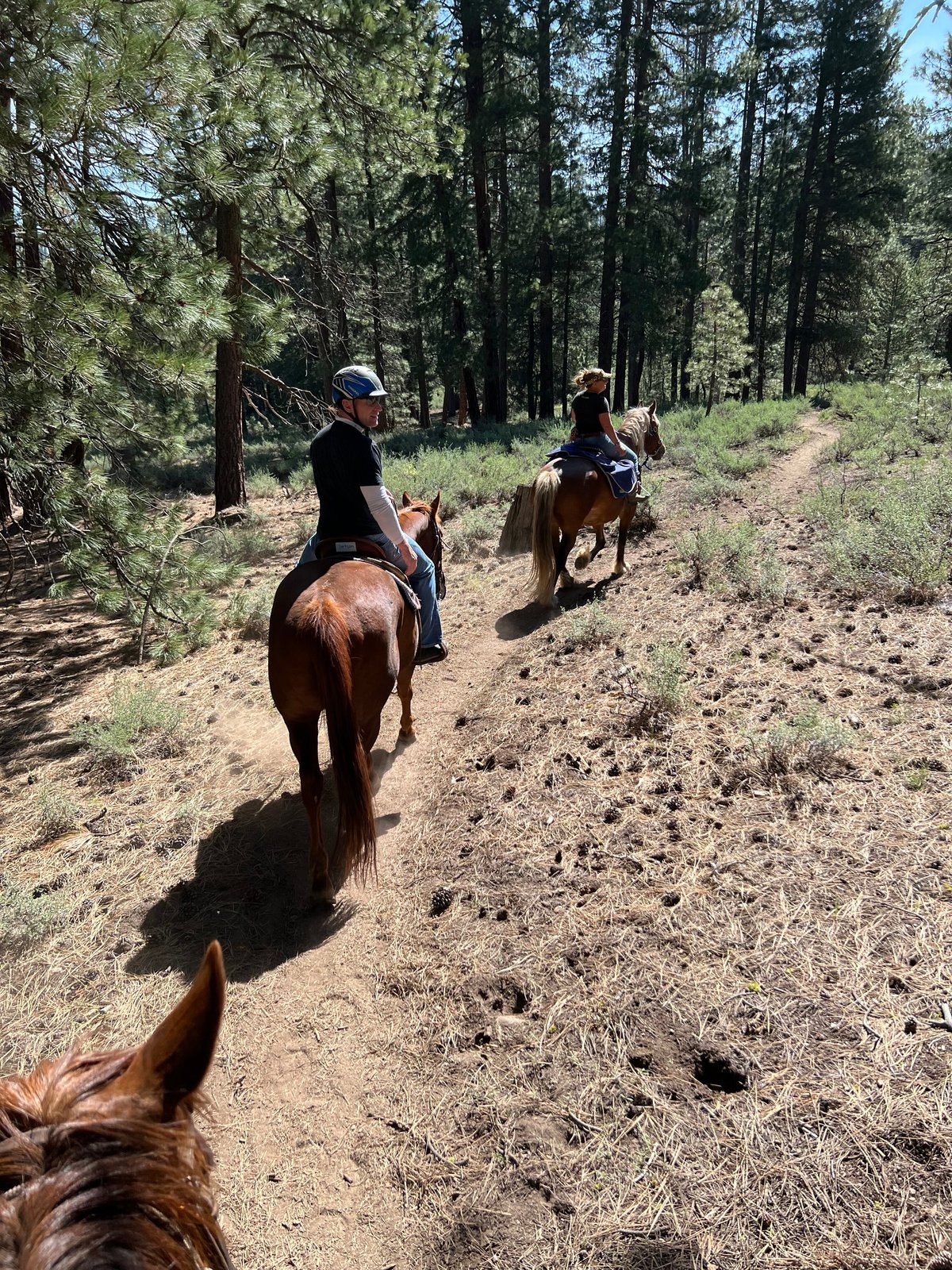 2023 Intro Trail Ride provided by Piping Rock Equestrian Center