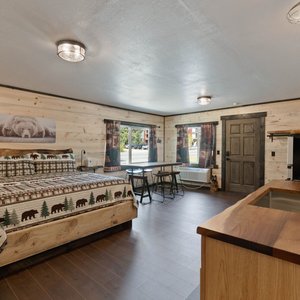 Suite 9 Bear Theme