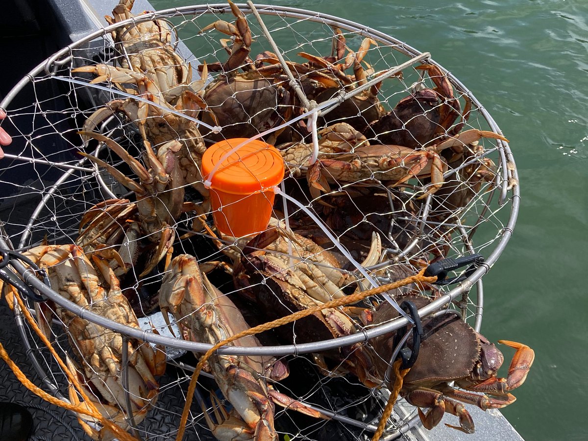 Wild Northern Adventures - Tidal Fishing Charter - Northern BC