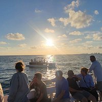 sunset & dolphin catamaran cruise with island time