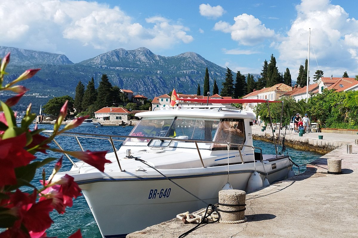 kotor boat tours reviews