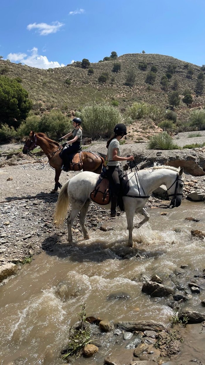 Imagen 18 de Caballo Blanco Horse Riding