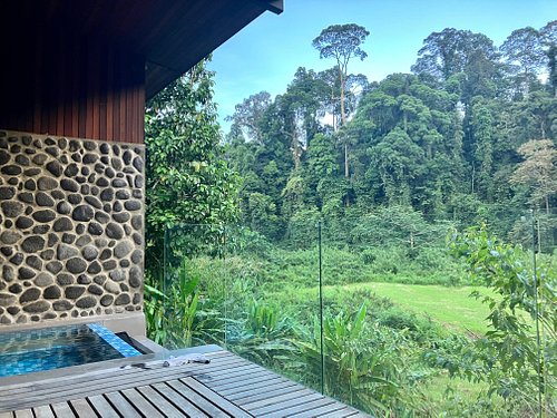 Borneo Rainforest Lodge Danum Valley Conservation Area Updated 2023 Prices And Reviews Malaysia 1233