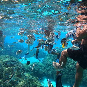 2024 Underwater Scooter provided by BORA OCEAN ADVENTURES