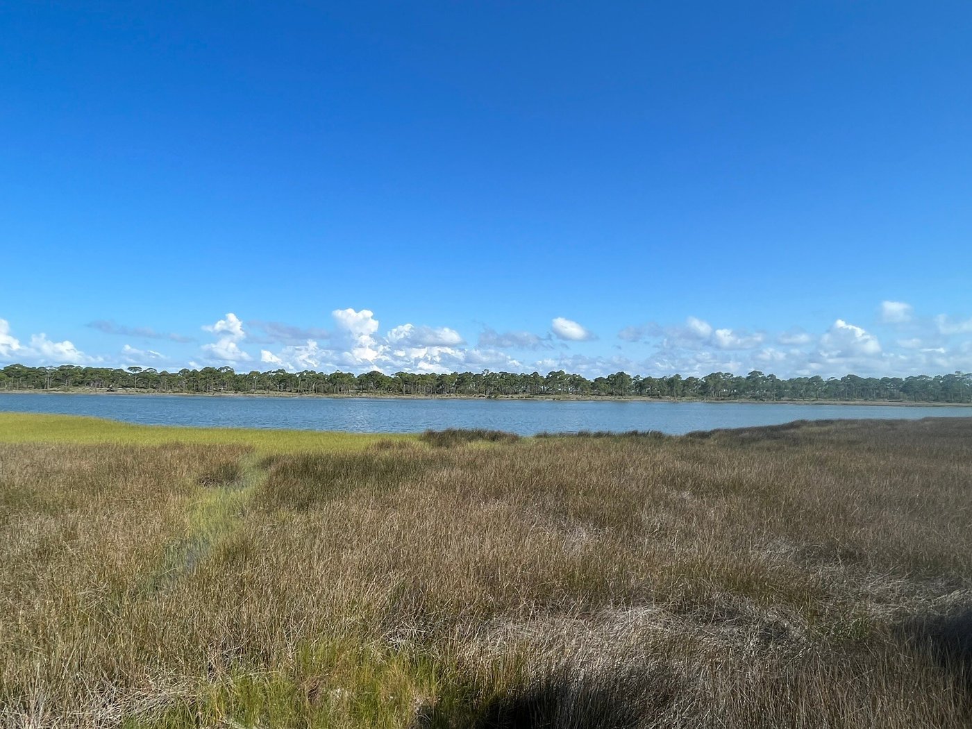 SAINT GEORGE ISLAND STATE PARK - Updated 2024 Campground Reviews (St ...