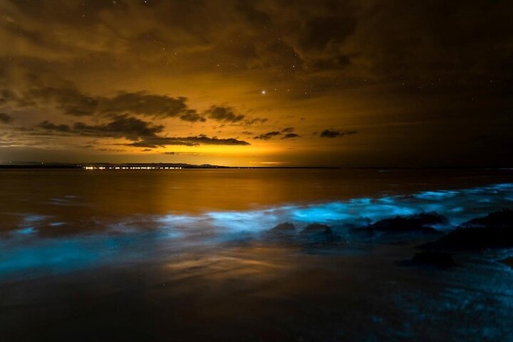 2024 Phang Nga Bay Private Bioluminescence and Sea Canoeing Tour