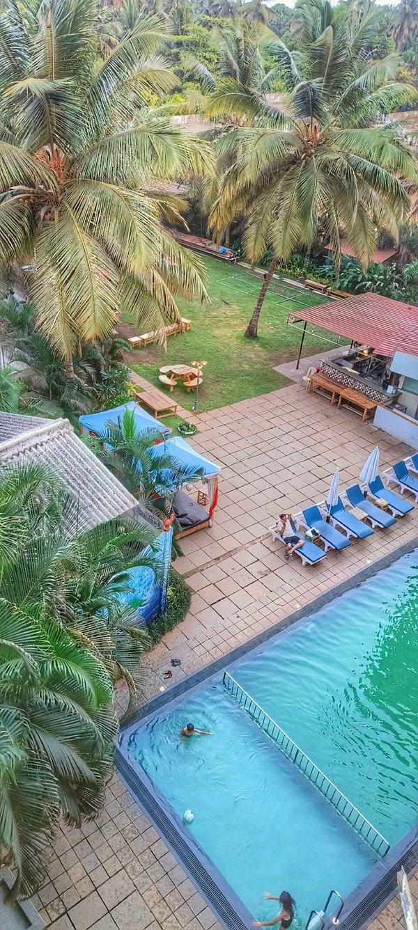 TURTLE BEACH RESORT (Goa/Morjim) Resort Reviews, Photos, Rate