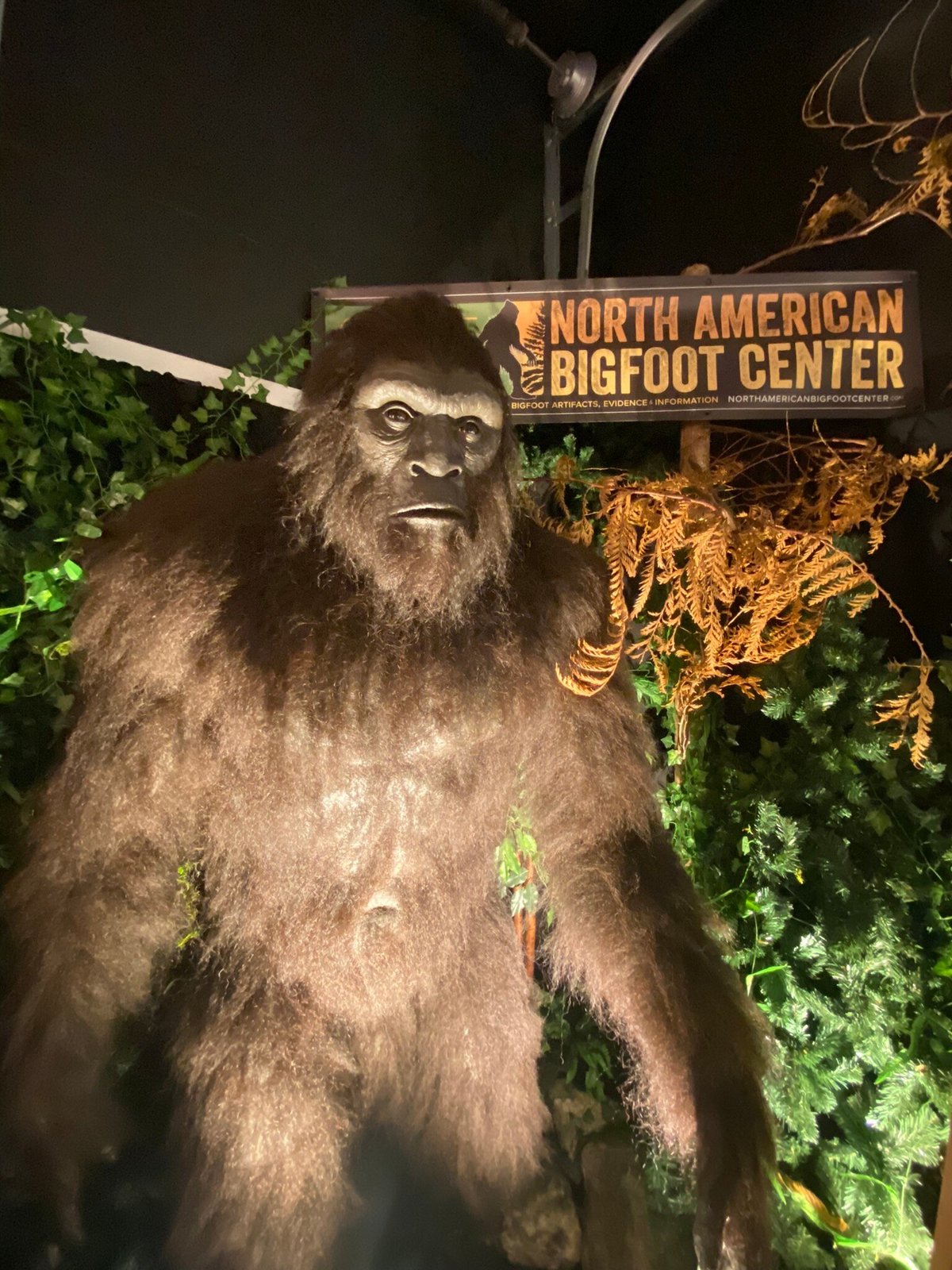 Searching for Sasquatch at the North American Bigfoot Center