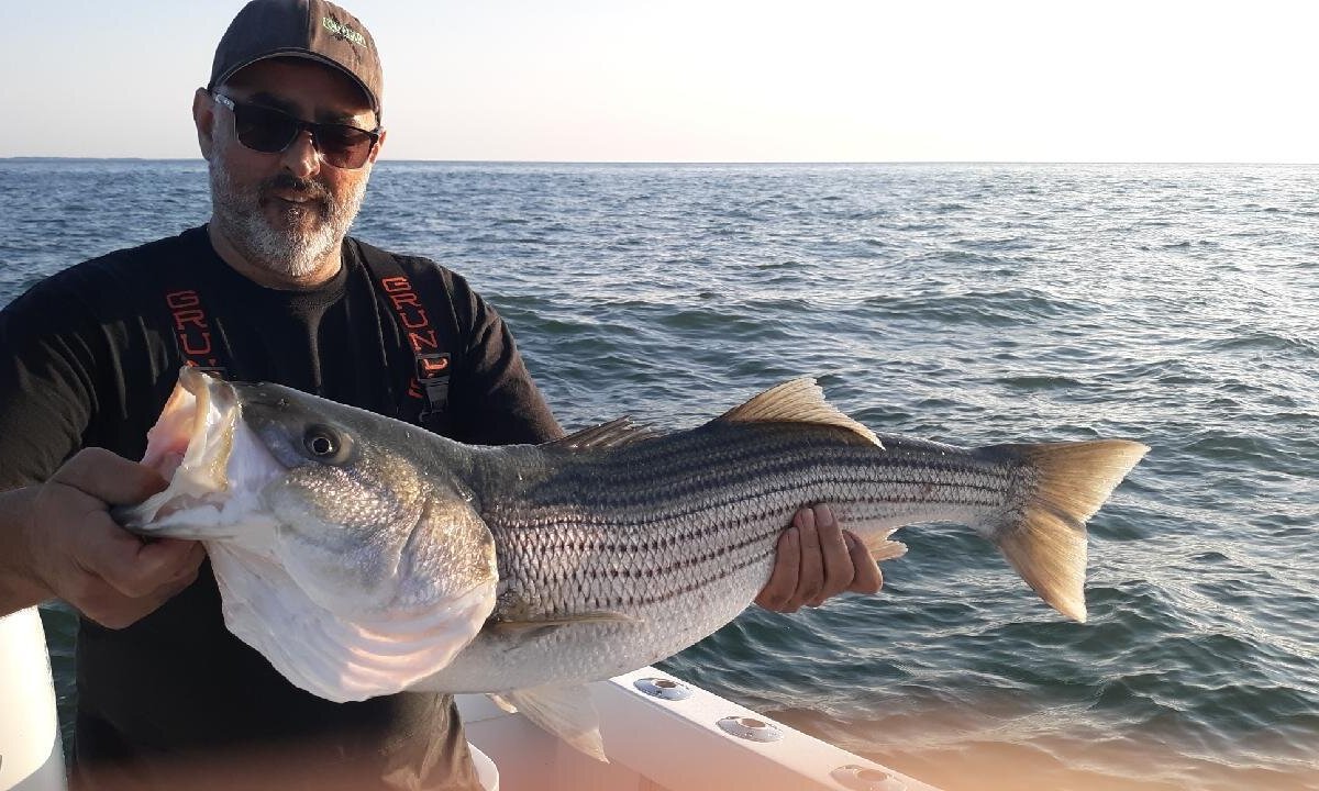 Striper Snax Fishing Charters (Niantic) Lohnt es sich? Aktuell für