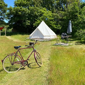 Each tent has access to 2 vintage bicycles for their stay.