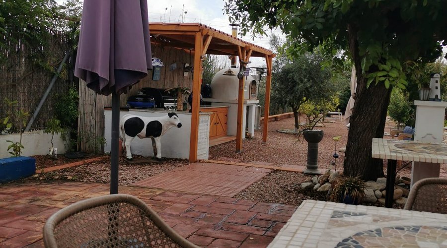 Het achterterras met BBQ plaats en echte Pizza oven