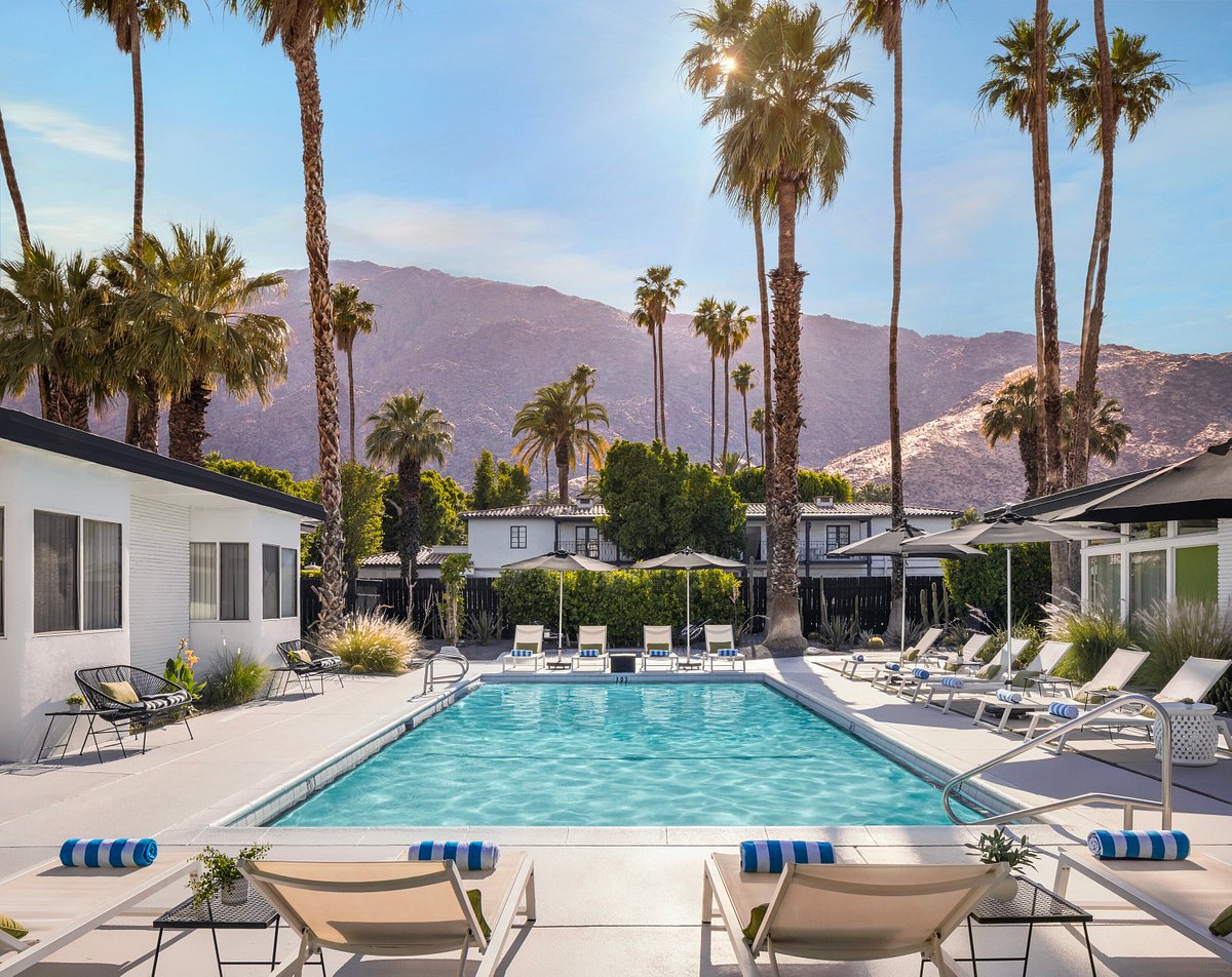 Pet Friendly Hotels - Visit Palm Springs