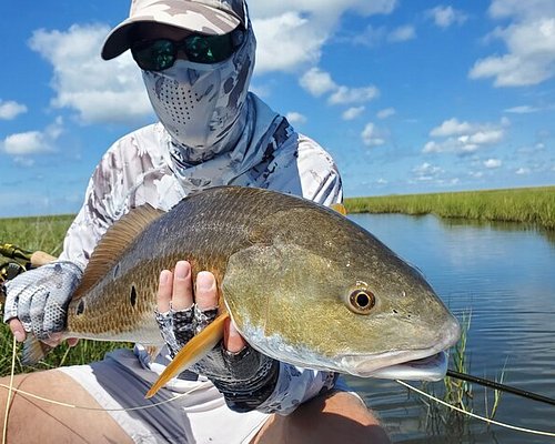 louisiana swamp fishing trips