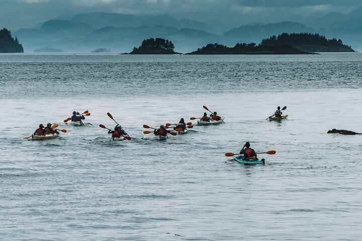 温哥华岛5 大皮划艇与独木舟活动- Tripadvisor