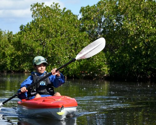 THE 10 BEST La Paz Kayaking & Canoeing Activities (Updated 2023)