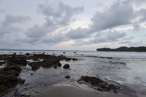 Khách du lịch