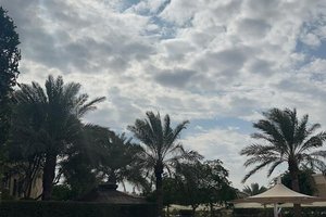 Pool & Beach
