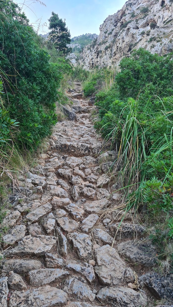 Imagen 10 de Ermita de Betlem