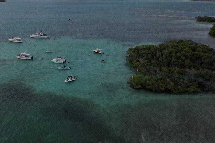 2024 La Parguera Glowing Bioluminescent Bay Boat Tour From San Juan