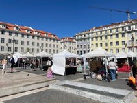 Europe, Portugal, Lisbon, Baixa, Rossio, Figueira Square, Dom Joao I statue  - SuperStock