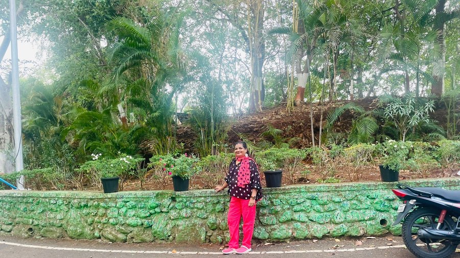 Rock Garden