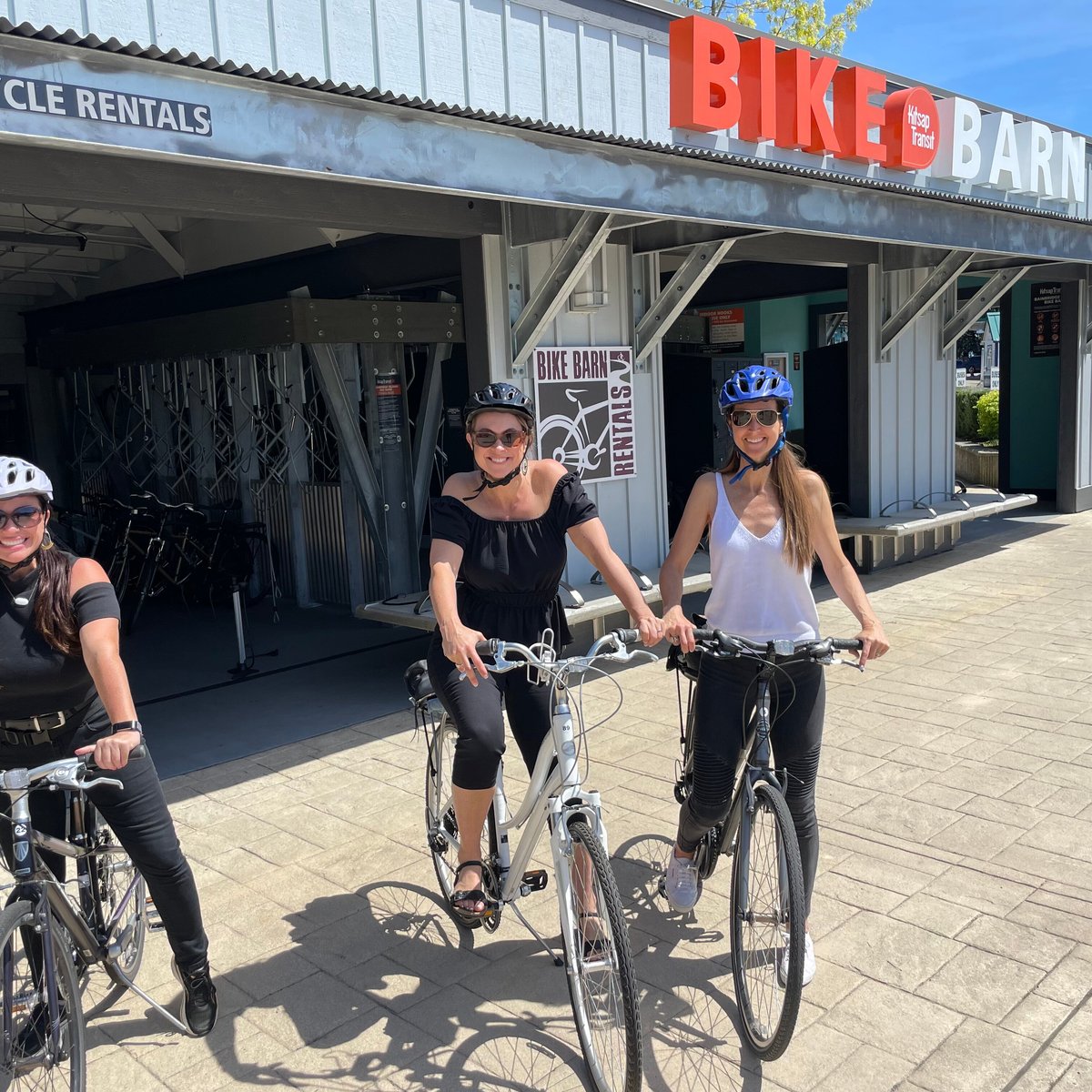 bike barn e bikes