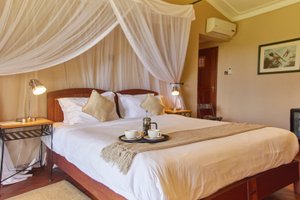 Room & Suite