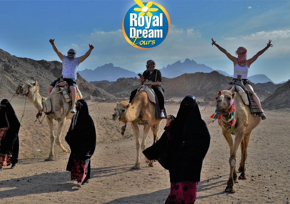 royal dream international travels and tours