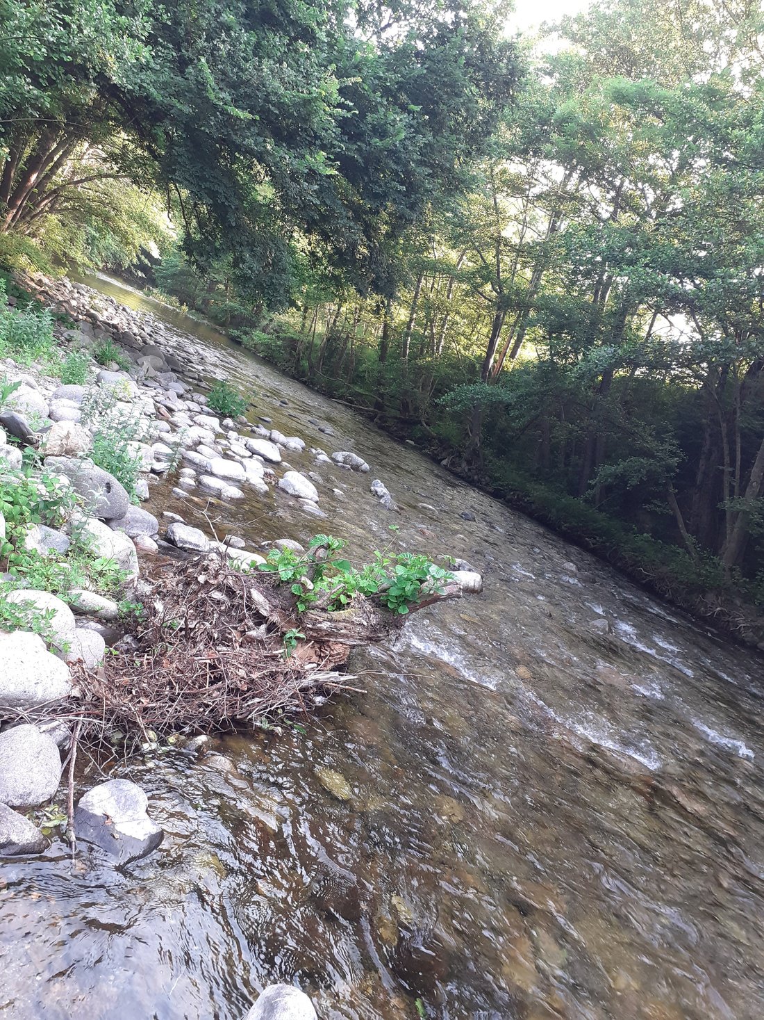 Camping la moliere vébron