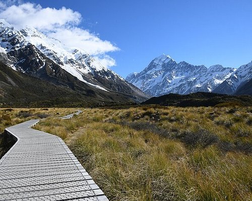 mt cook trip