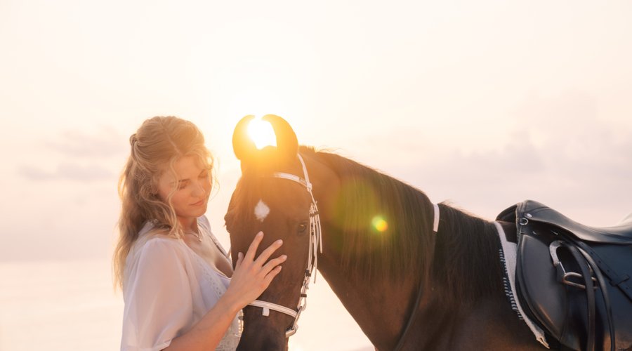 Siyam World Horse Ranch