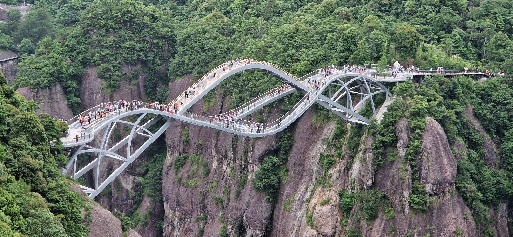 Amazon.co.jp: Bridge: 風景をつくる橋 : 大野 美代子