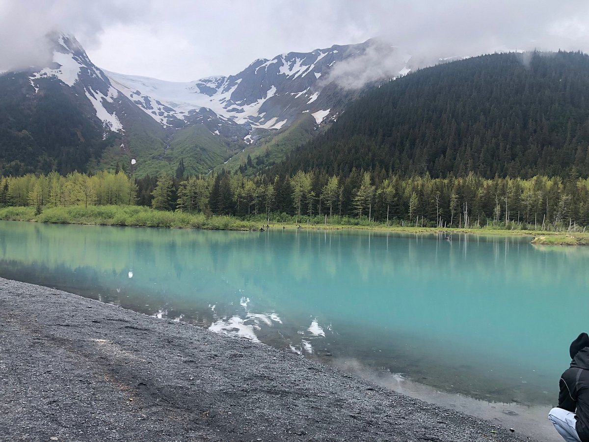 full day tour in turnagain